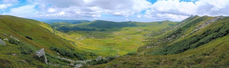 Beautiful meadow in Austrian Alps