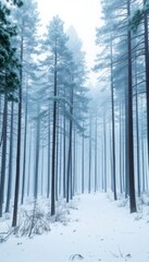 Fototapeta premium Pine Trees Standing Tall in Snowy Silence
