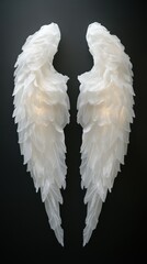 Ethereal white angel wings on black background