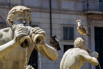 Fontana Del Moro at Piazza Navona in Rome, Italy, sunny day