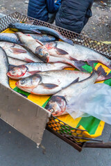 A collection of freshly caught fish displayed on a colorful cart at a market. The fish are laid out for sale, highlighting their natural texture and freshness. The background features blurred figures.