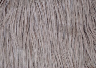 fur background