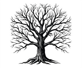 A black and white silhouette of a large tree. Old Tree silhouette vector
