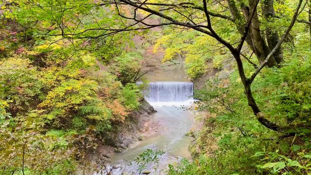 Small waterfall next to the Naruko Gorge Walking Trail. Naruko Gorge is a well-known autumn tourist attraction in Japan.