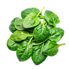 Fototapeta premium Spinach png isolated on white background