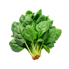 Spinach png isolated on white background