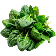 Obraz premium Spinach png isolated on white background