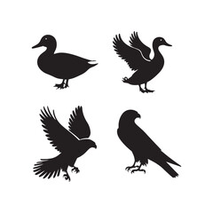 bird icon silhouette vector illustration