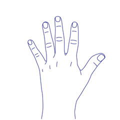 Obraz premium Hand gesture sketch. Counting with fingers. One, two, three, four and five. Palm back. Index, middle, ring, little fingers and thumb