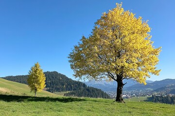 Obraz premium Golden Autumn Tree in Alpine Mountain Landscape