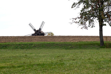 The top of an old wooden mill on a hill. Green grass and a tree without leaves.