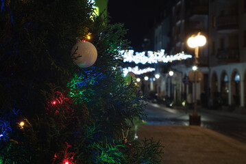 CHRISTMAS TIME - Christmas decorations and lights on tree branches on a city street