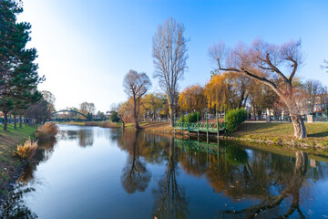 Fototapeta premium reflection of trees in the river