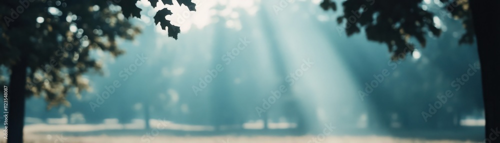 Poster soft morning light streams through trees creating a dreamy atmosphere in a serene forest setting wit