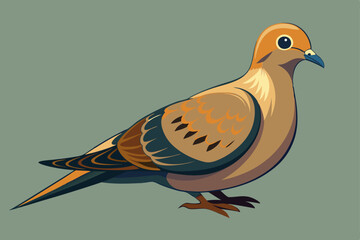 Fototapeta premium Mourning Dove bird vector art illustration.