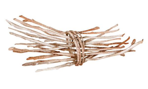 Watercolor illustration of tied wooden sticks and twigs. Rustic background featuring chopped and seasoned firewood for eco-friendly or rural lifestyle, projects. Perfect for creative decor concepts.
