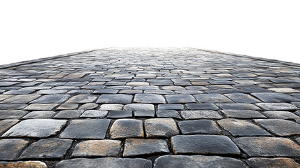 A detailed view of a cobblestone path leading into the distance.