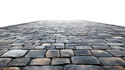 A detailed view of a cobblestone path leading into the distance.