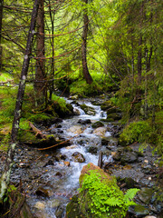 Fototapeta premium Wild river waterfall in Romanian mountain forest. Wonderful springtime landscape in mountains.