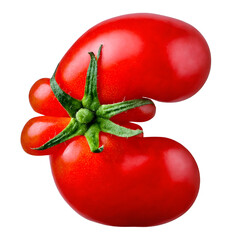 Euro sign made of fresh tomato