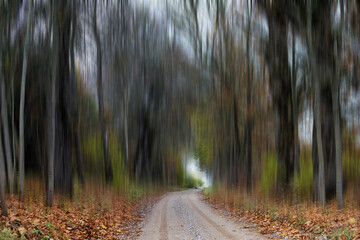 ABSTRACT RURAL AUTUMN LANDSCAPE