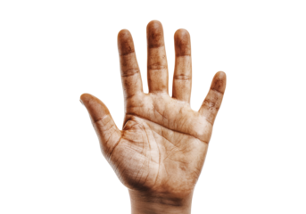 Human hand displaying palm on white isolated background.