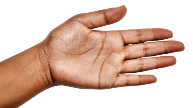 Open hand gesture, white isolate background.
