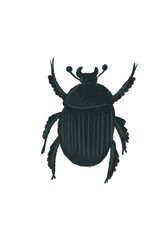 Stylized digital illustration of a dung beetle created featuring bold colors and a playful design. Perfect for educational, scientific or creative projects