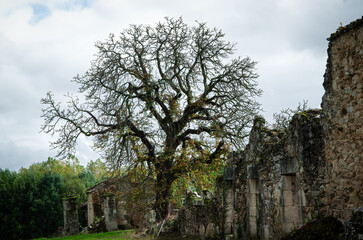 Ruins of the village Oradour-sur-glane, France
