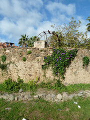 Historic agricultural water mill