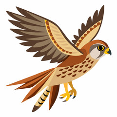 kestrel bird