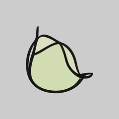 Hand-Drawn Vector Illustrations of Fresh Fruits - Colorful and Artistic Design