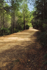 Fototapeta premium a deserted path in the mountains