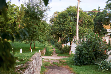 Scenic view of the park with sidewalk in the morning. Green trees in beautiful park