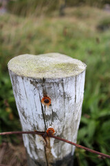 Fence pole with barbed wire on a field with small fishing village of Crovie in the background - Aberdeenshire - Scotland - UK © Collpicto