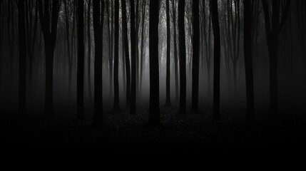 Fototapeta premium Dark, mysterious forest with tall trees and a foggy atmosphere, creating a sense of depth and obscurity