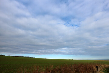 Cliffs between Arbroath and Auchmithie - Angus - Scotland - UK