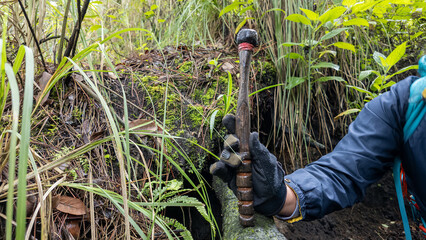 Exploration of a jungle using a tool to uncover hidden treasures in the ground