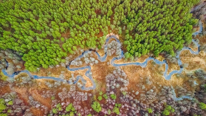 Fototapeta premium Steep scarp and loops of the Gruda river, heart shape, from above, near the village of Kasetos, Varena district, Lithuania. Dzukija National Park.