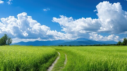 Fototapeta premium A picturesque landscape featuring lush green fields under a bright blue sky filled with fluffy clouds, leading towards distant mountains, perfect for nature-themed projects or backgrounds,
