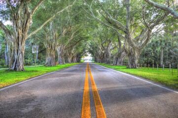 Bridge Road Jupiter Island