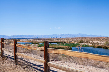 Fototapeta premium Las Vegas Wetlands