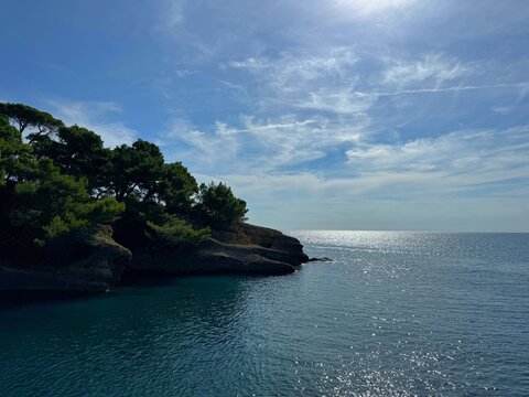 Adriatic sea bay surrounded by pine trees on rocky coast in Montenegro.