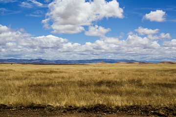 Field and Sky