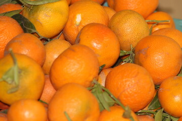 Fresh Small Oranges Close Up