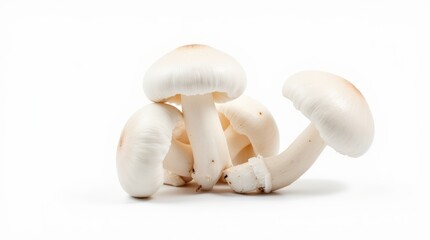 Close-up of Fresh White Mushrooms on White Background