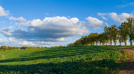 Naklejka premium Pola pod Jezioranami 2024_2