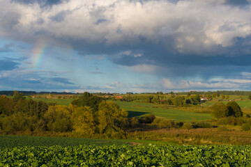 Przepiękna tęcza nad warmińskim polem 2024 © Krzysiek Cegiełka