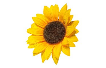 Fototapeta premium Photo of a bright artificial sunflower, isolated on a white background.