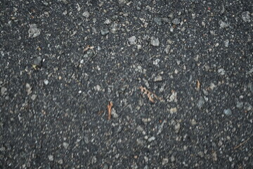 wet pavement texture, gray asphalt texture with red and white gravels	
